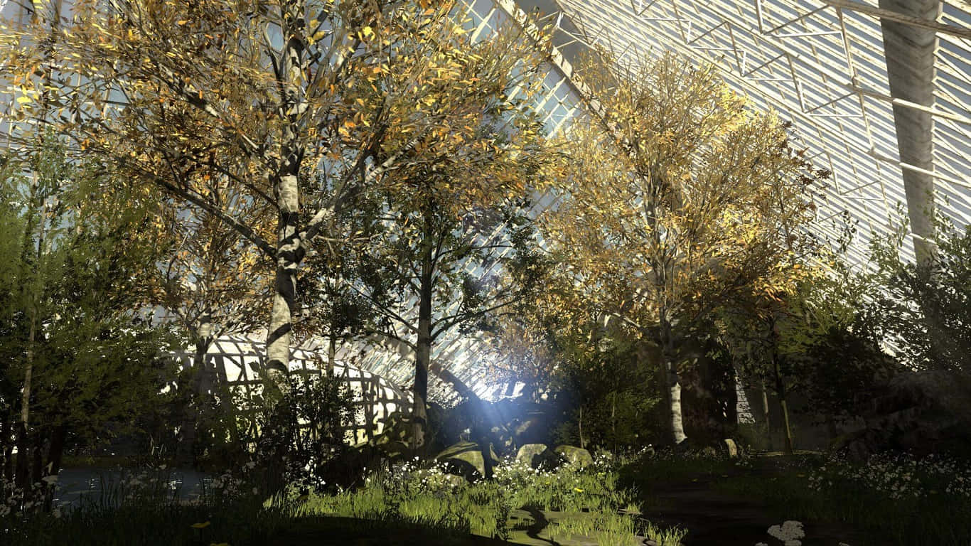 1366x768 The Talos Principle גהנה יער רקע טפט