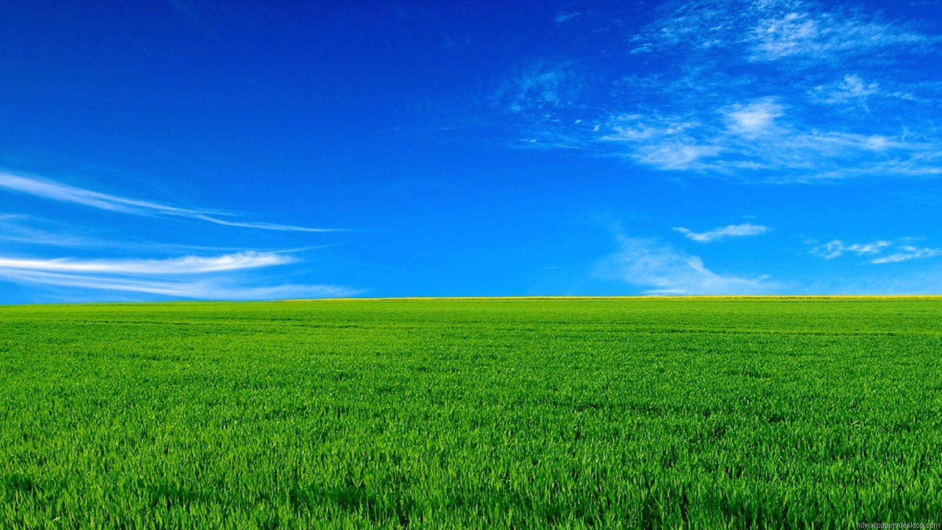 1920x1080 Full HD טבע דשא ירוק שמיים כחולים טפט