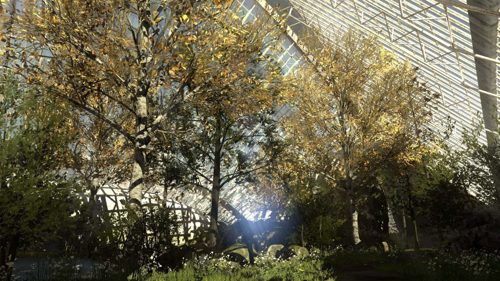 1920x1080 רקע יער עבות ממשחק The Talos Principle טפט