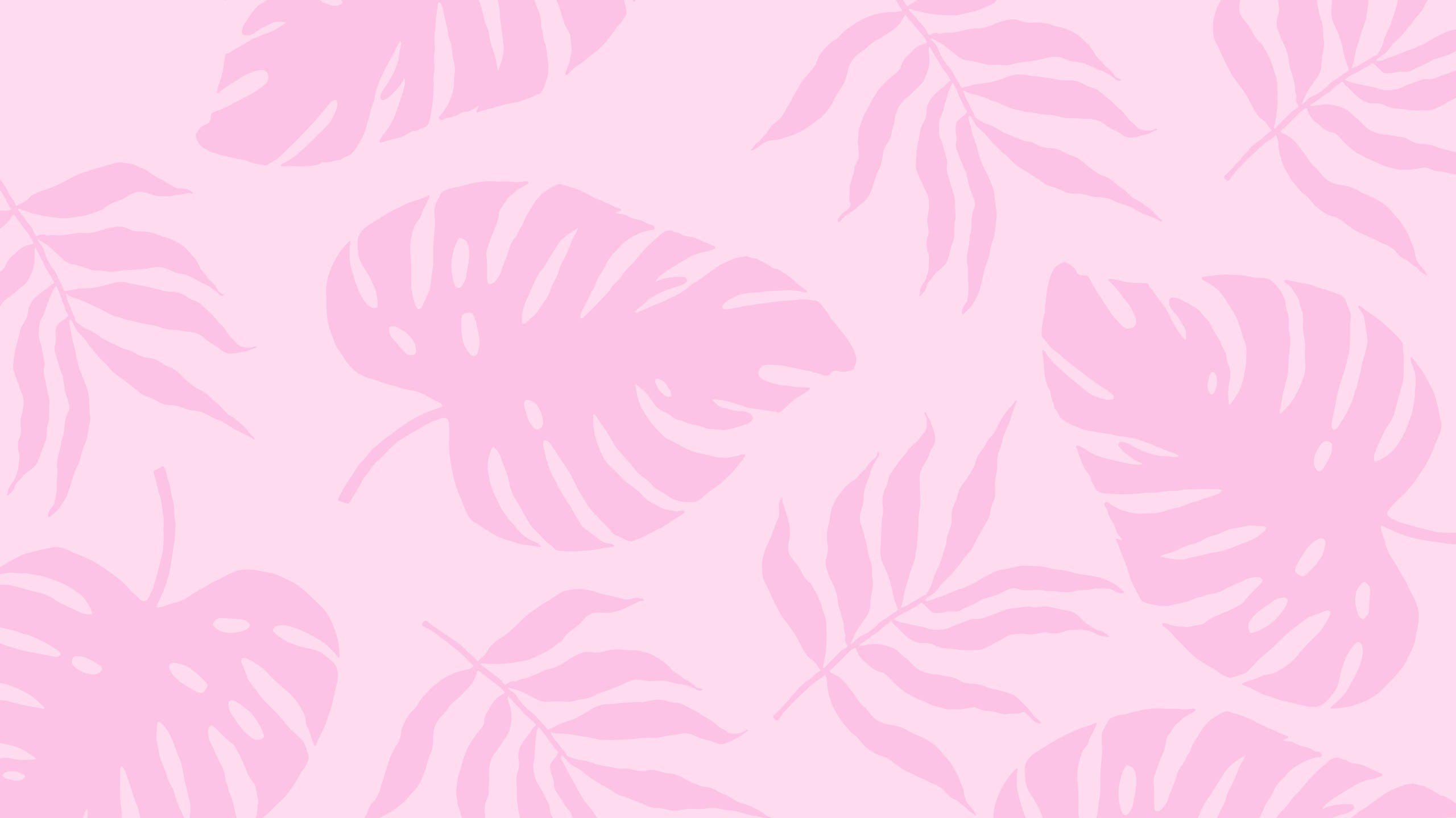 2560x1440 קיץ צמחים ורוד אסתטי טפט