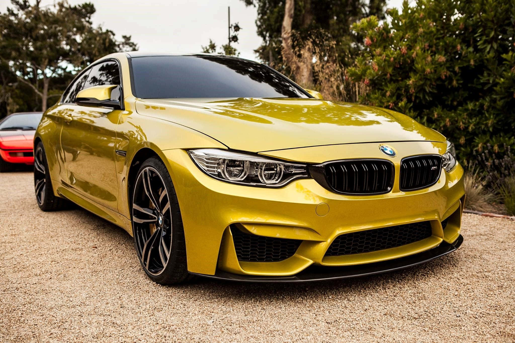 רכב יוקרה זהוב של BMW טפט