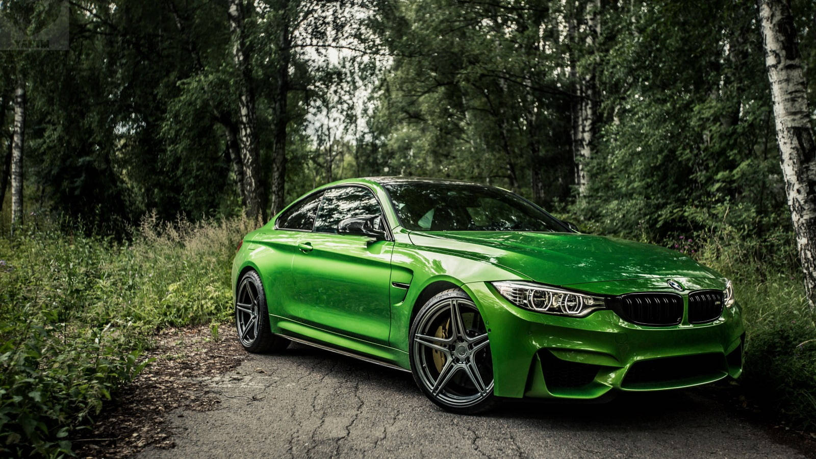 BMW M4 ירוק מלכותי שואג ביער טפט