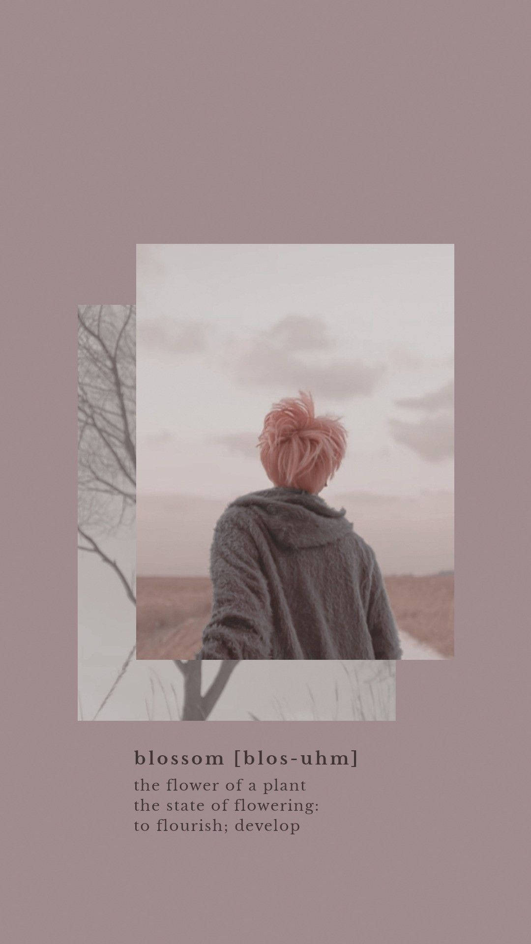אסתטי BTS ג'ימין בלוסום טפט