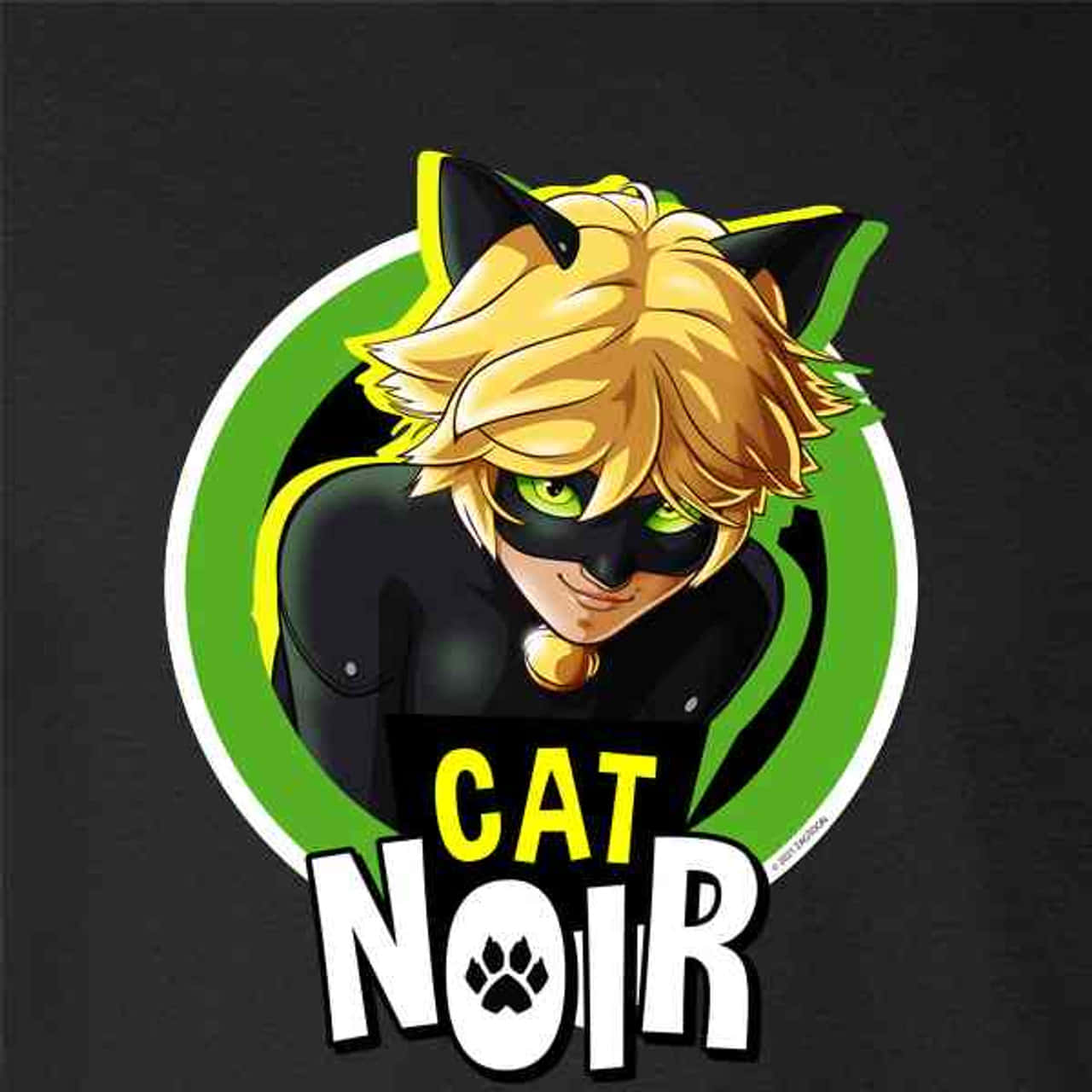 הצגת Cat Noir - טוויסט מודרני על הגיבורים הקלאסיים שגדלנו לאהוב! טפט