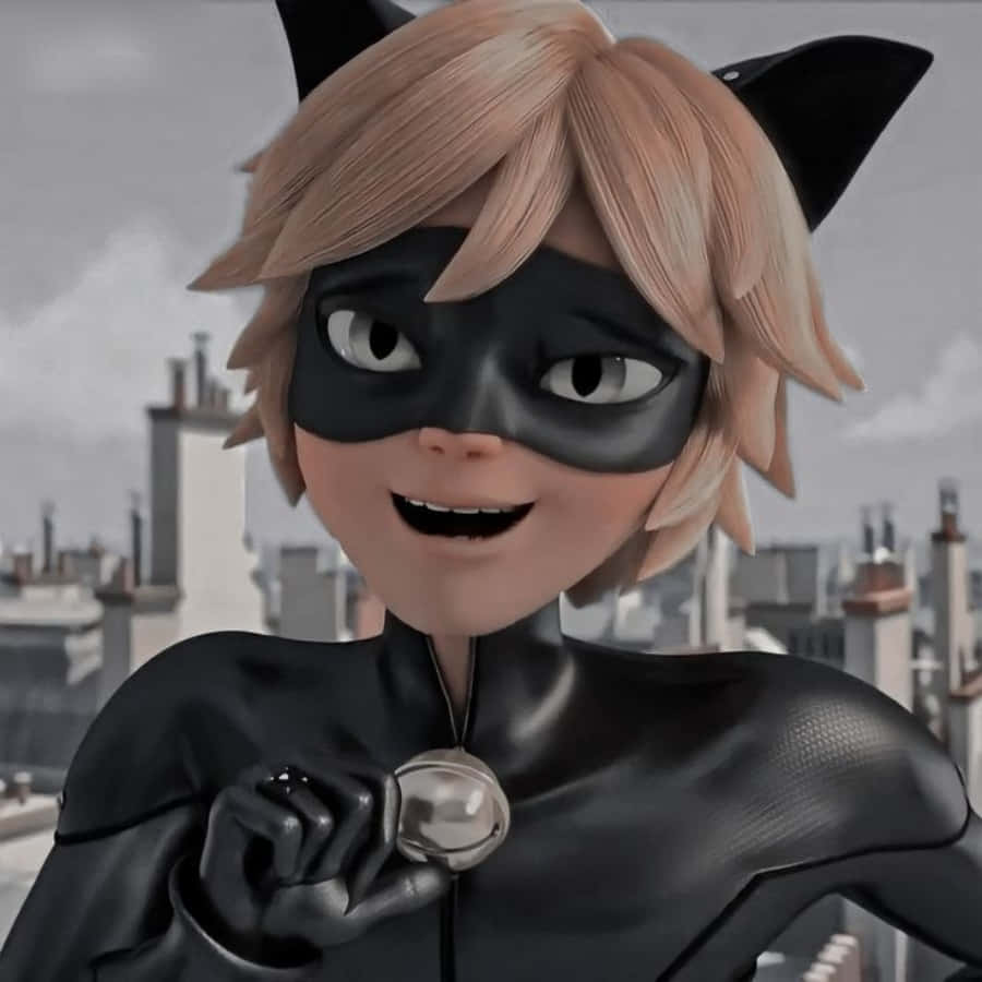 Cat Noir, מגן פריז טפט