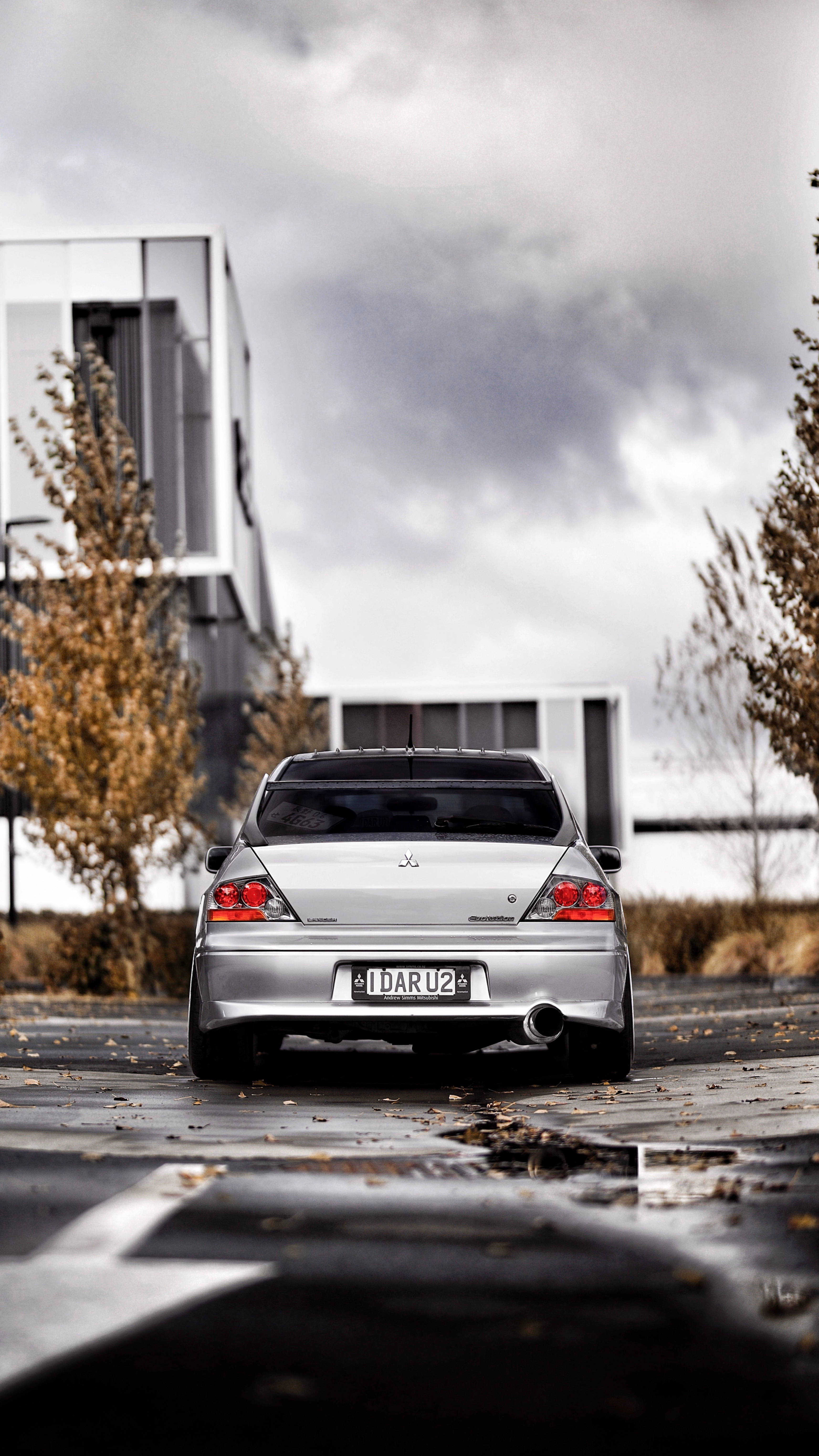 מכוניות JDM שחורות וירוקות רטובות טפט