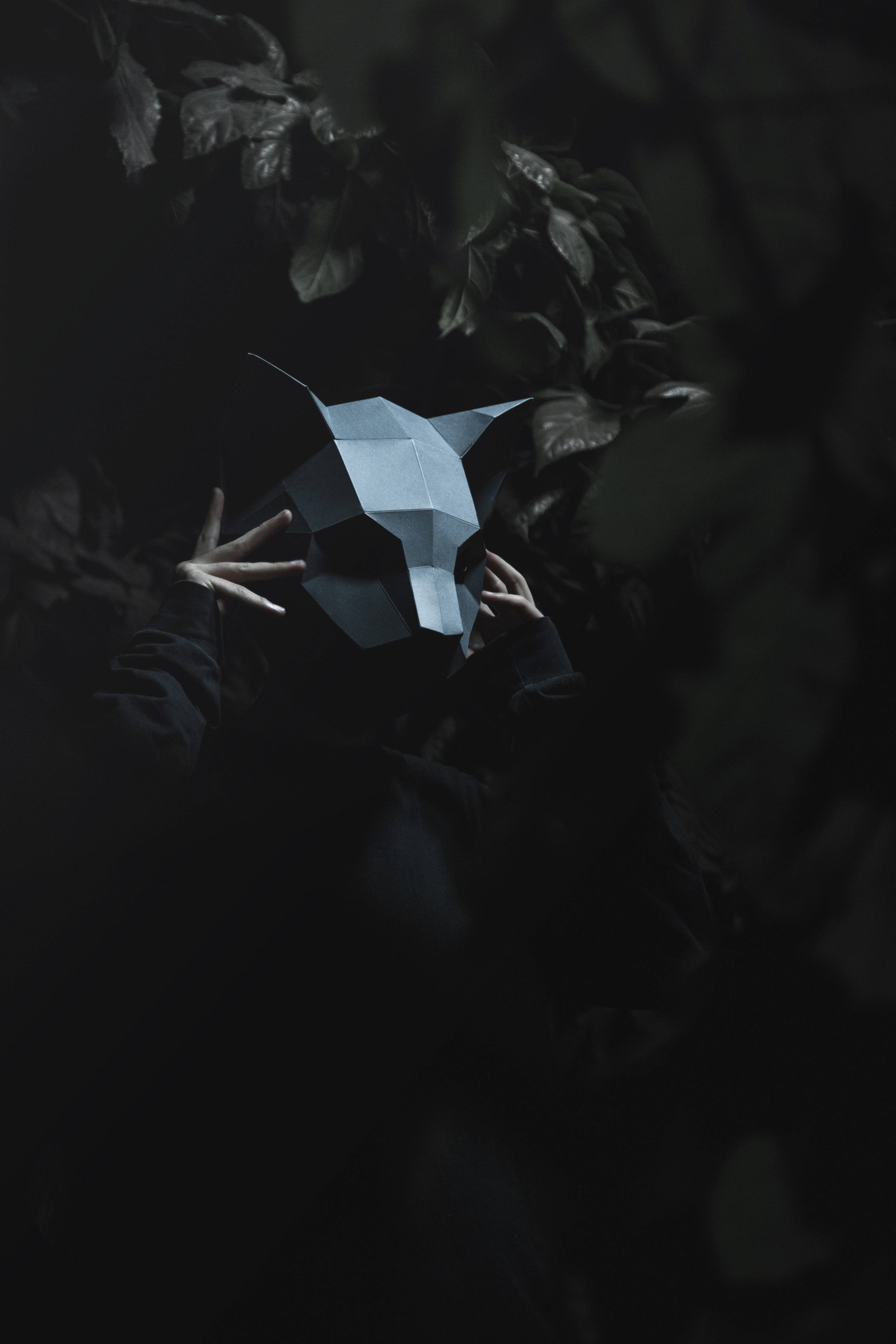 מסכת חתול תלת-ממד חמודה בסגנון Low Poly טפט