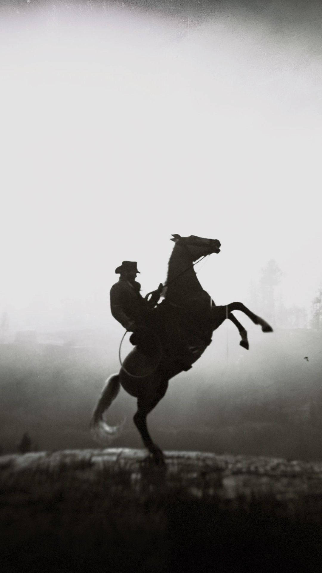 רוכב סוסים קאובוי Red Dead Redemption 2 משחק טפט