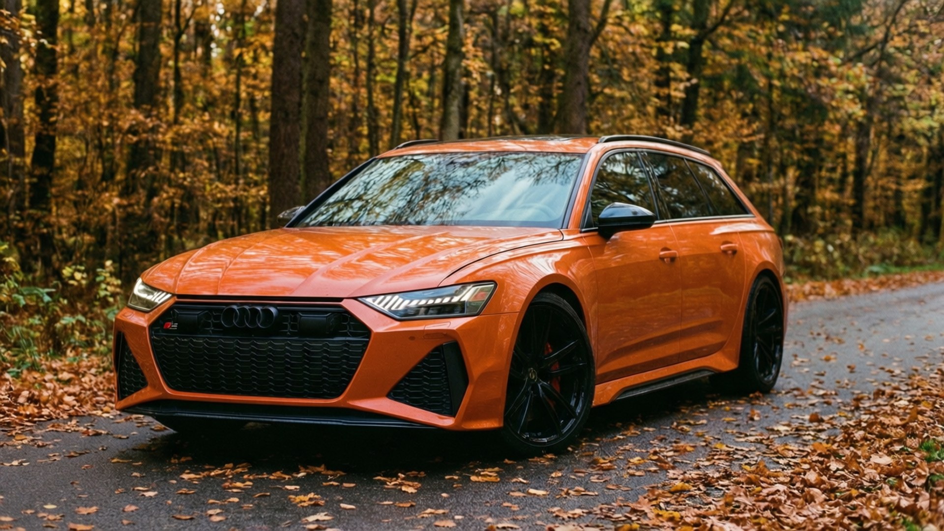 RS6 סתיו טפט