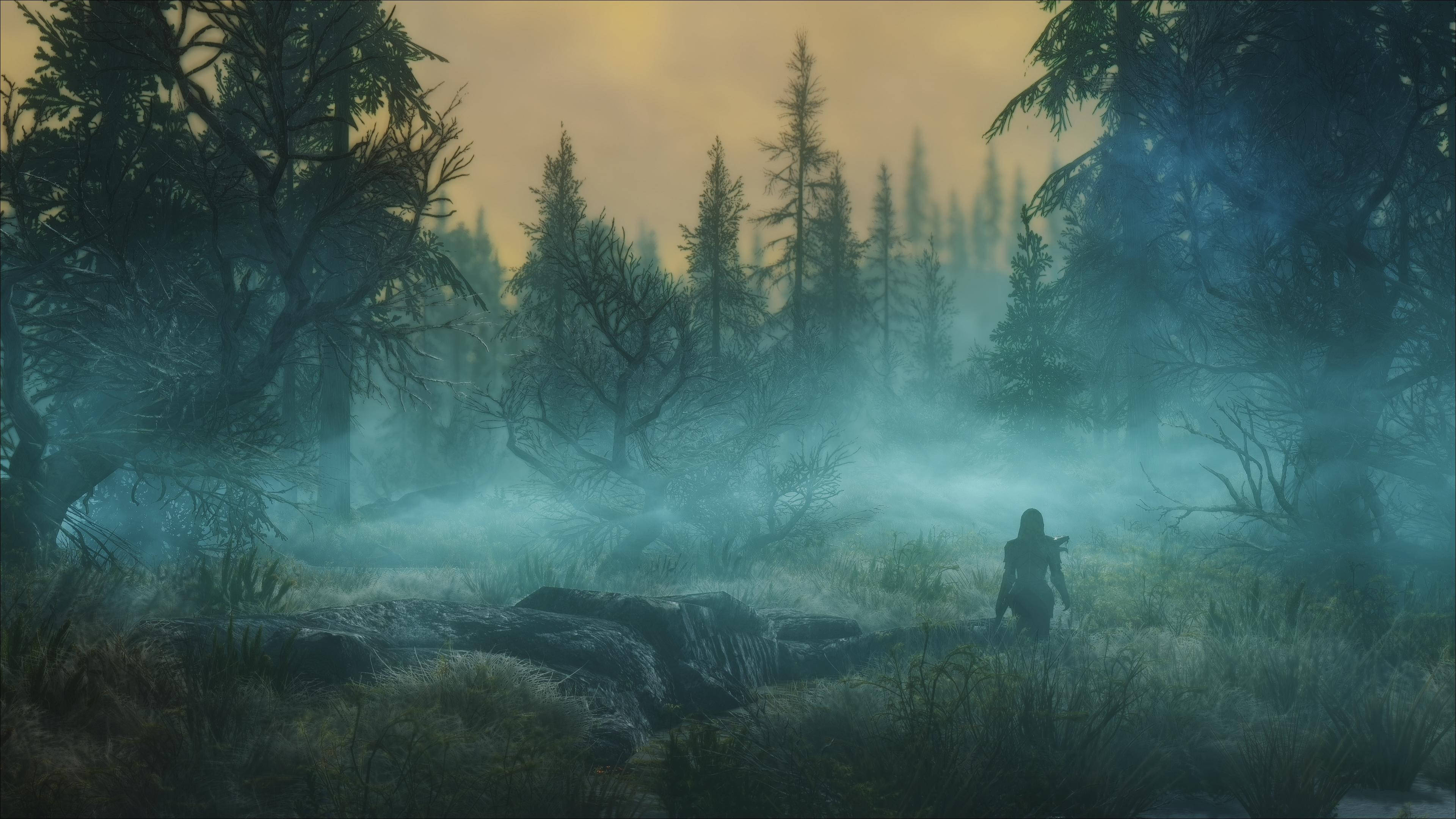 Skyrim Ultra HD יער אפלולי וערפילי טפט