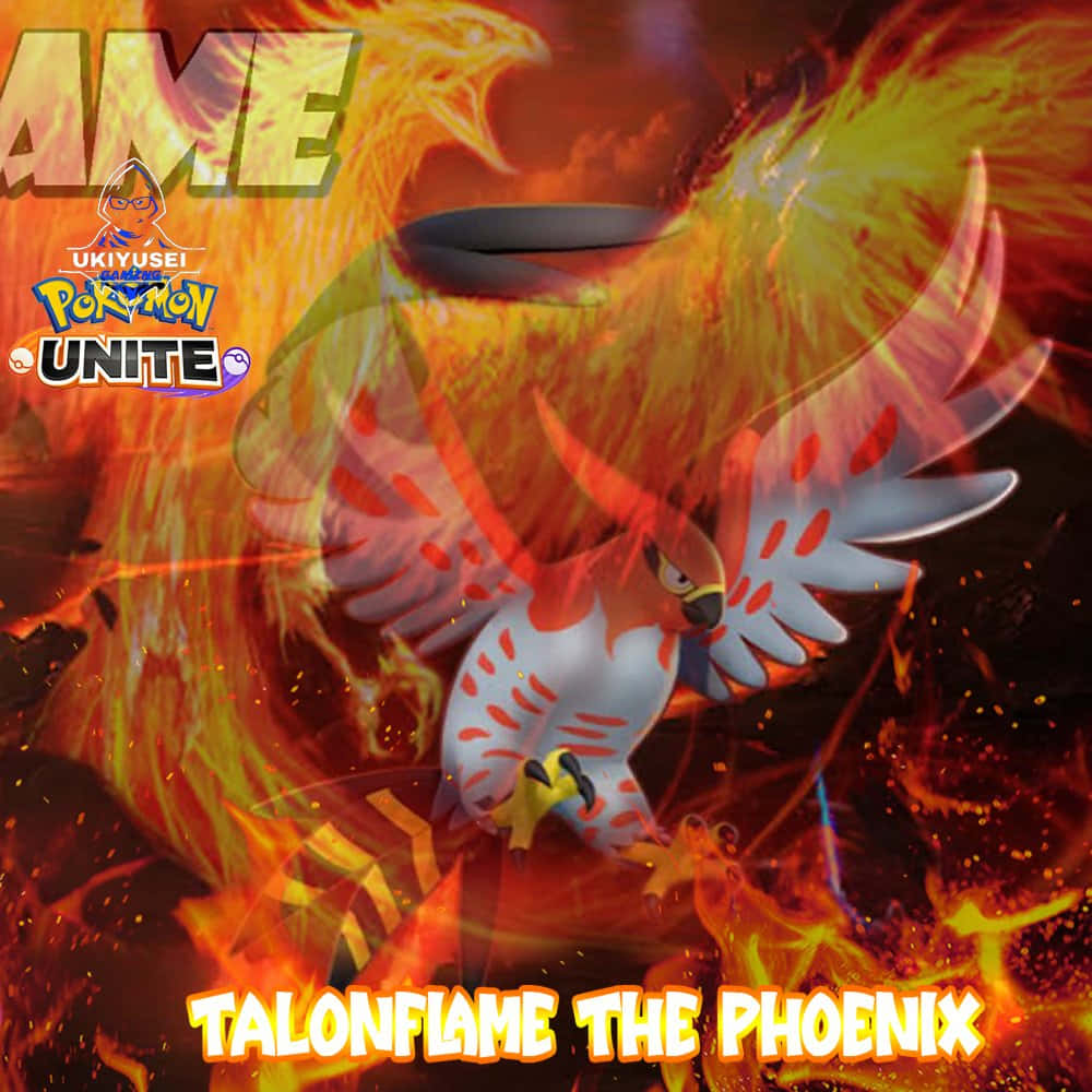 Talonflame פיניקס פוקימון יונייט טפט