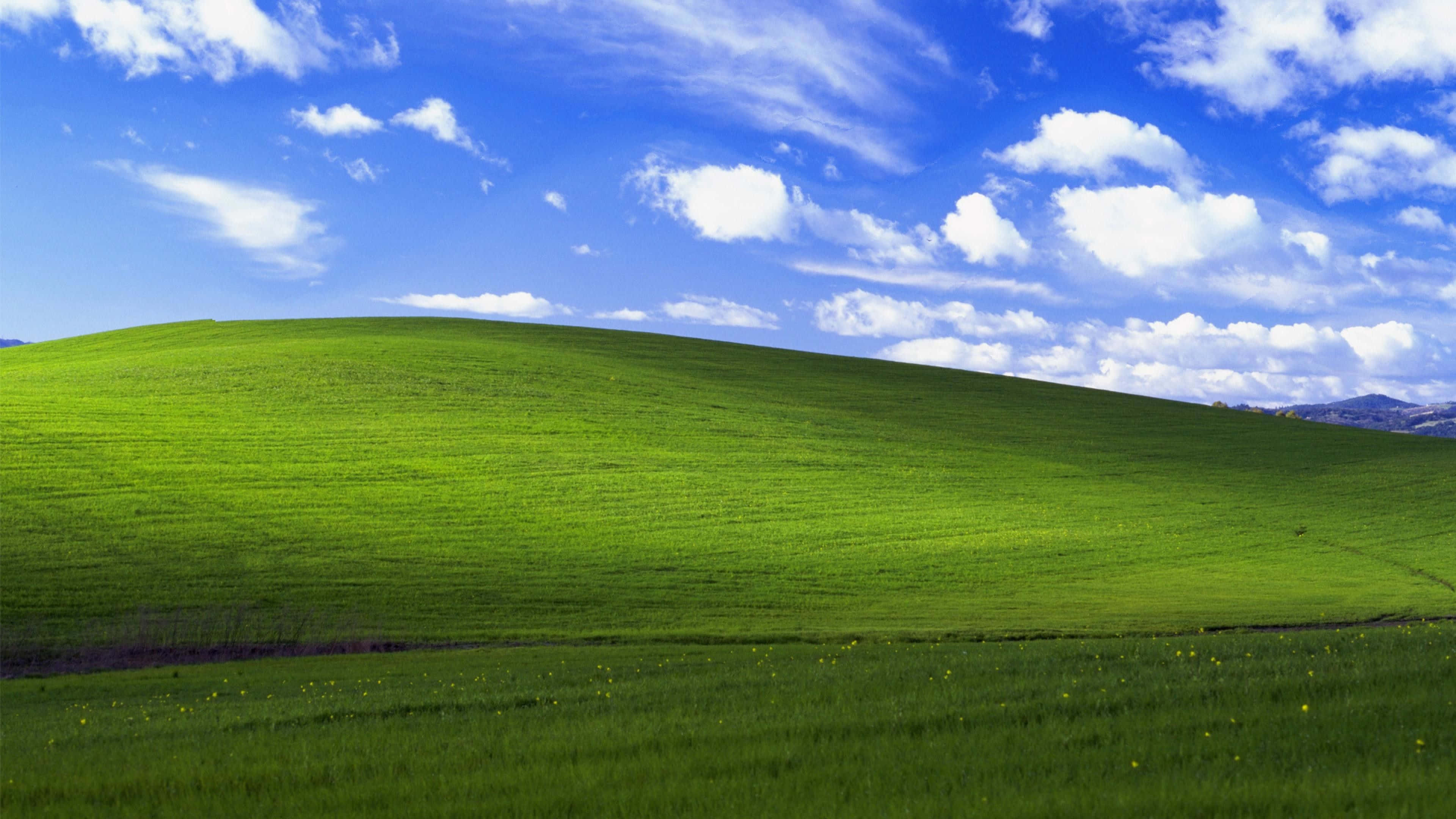 אושר ברירת המחדל של Windows 1 טפט