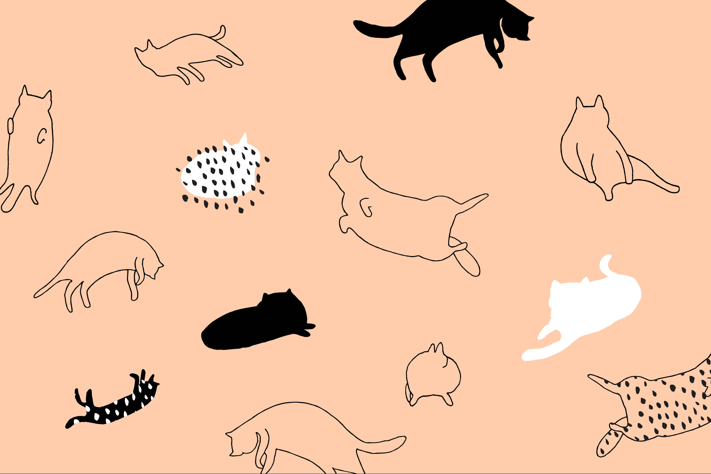 אמנות מינימליסטית של חתולים מצוירים טפט