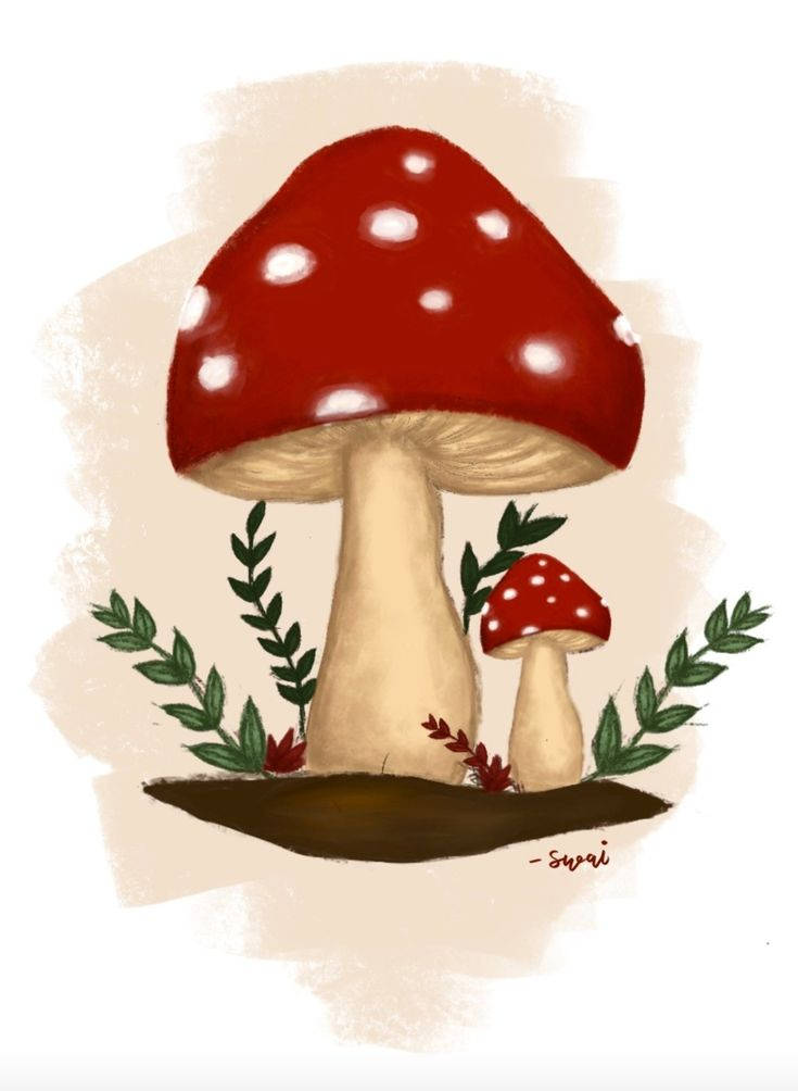 אסתטיקת אינדי קיד פטרייה אדומה טפט