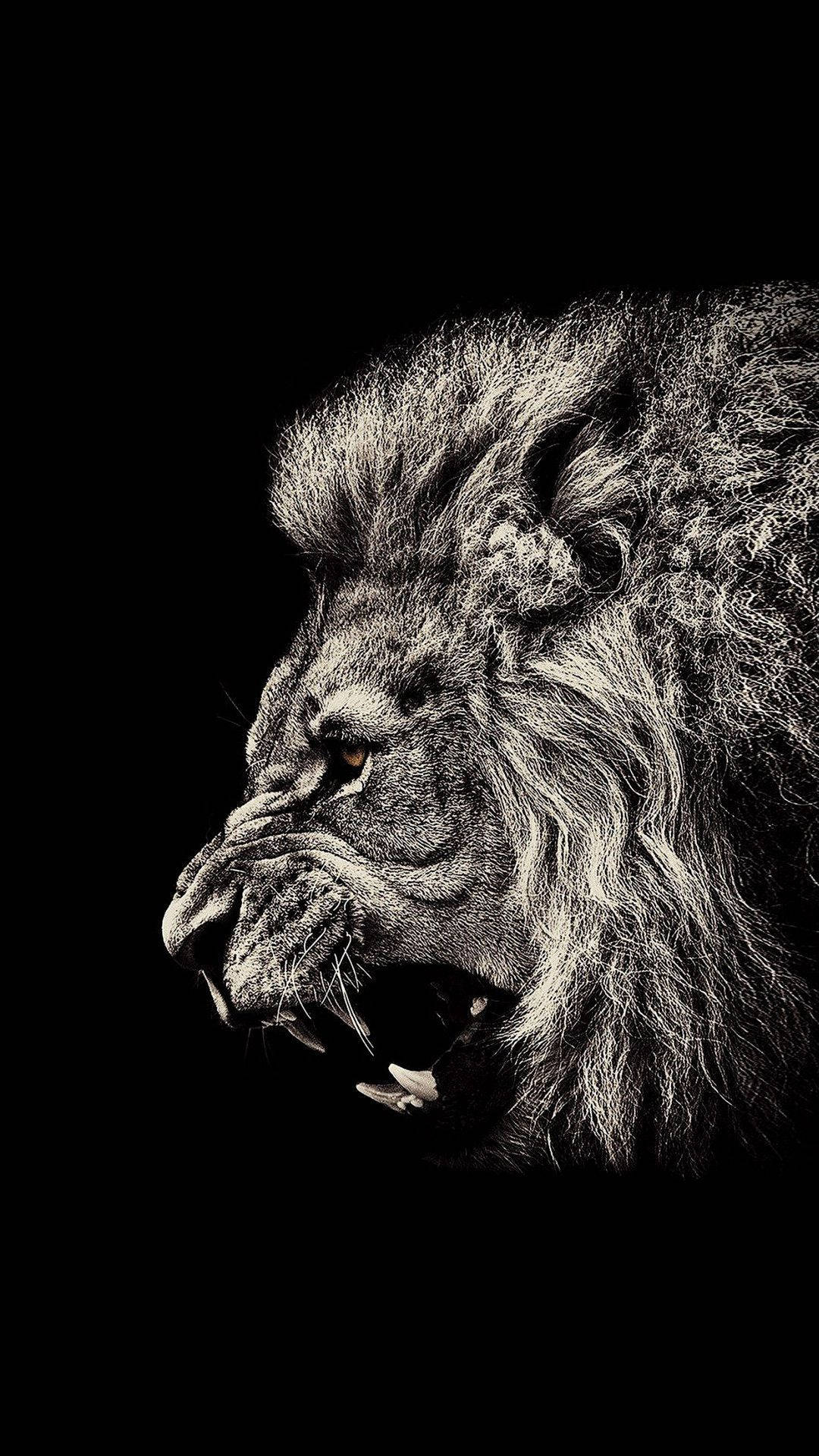 אריה כועס אייפון ארט טפט
