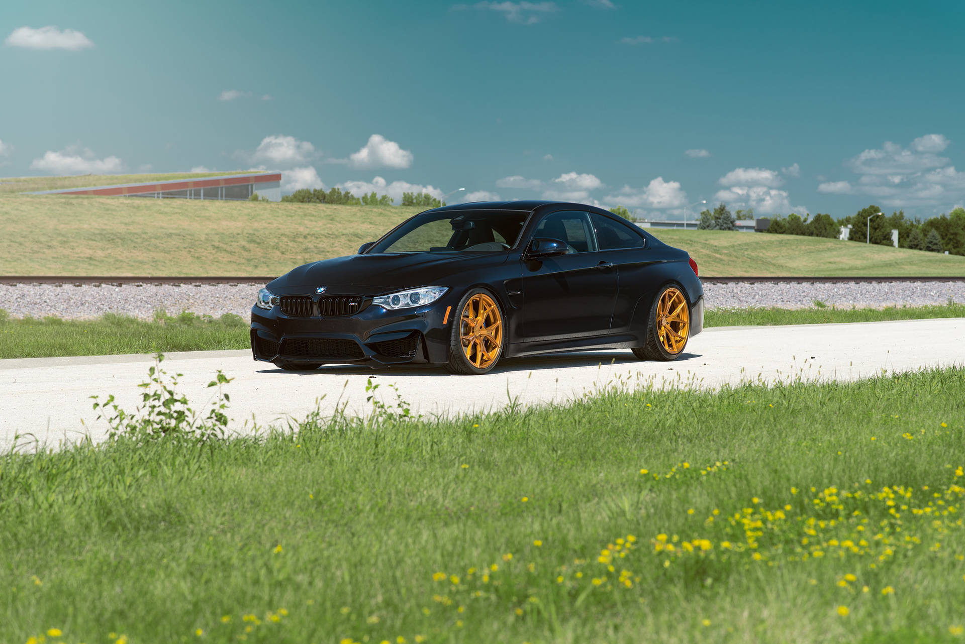 טפט של מכונית BMW M4 F82 שחורה על כביש עם דשא