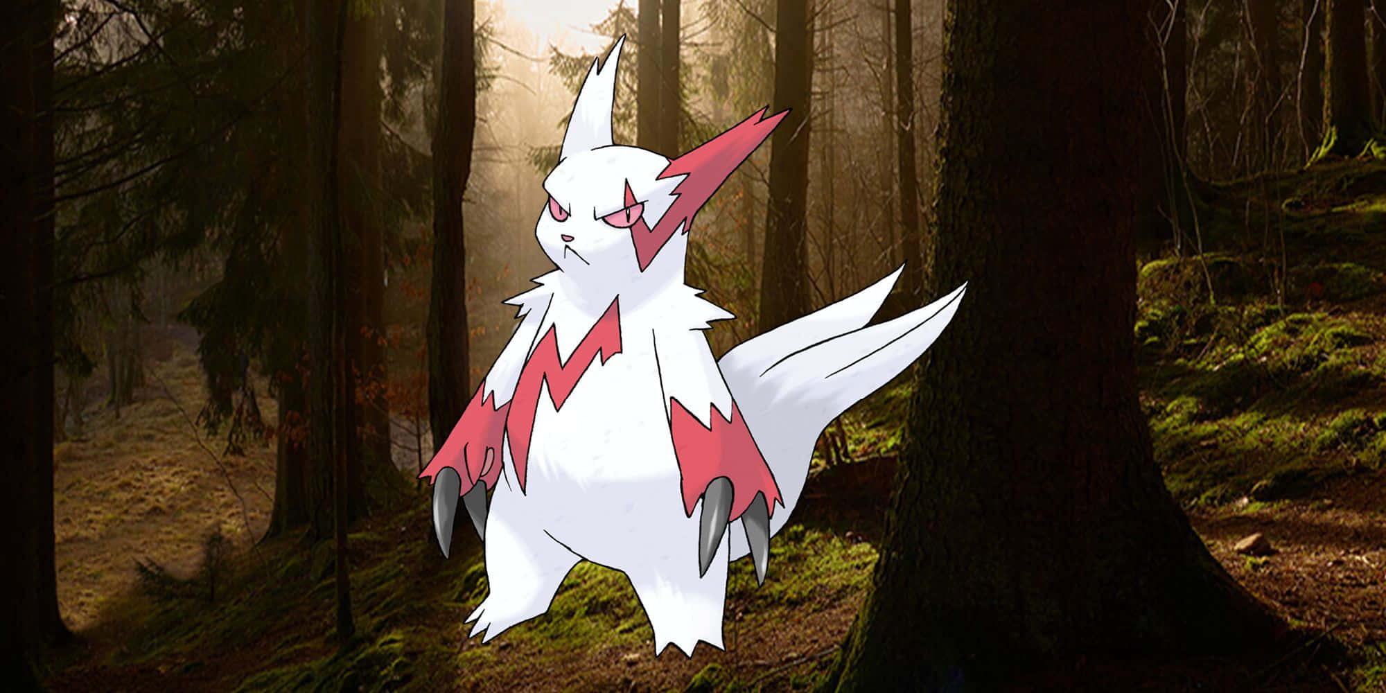 זנגוס ביער האפל טפט