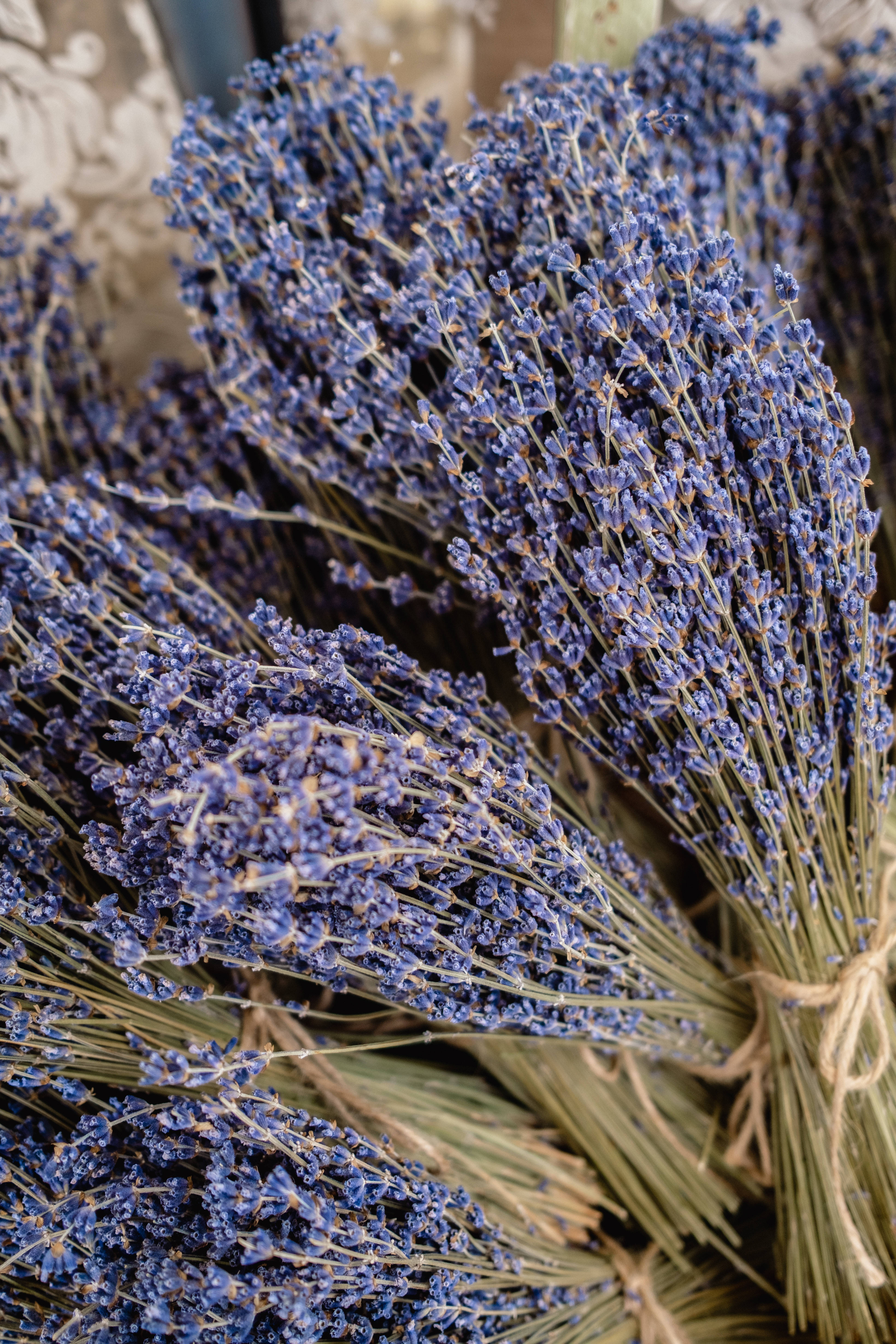 זר פרחים אסתטי לבנדר טפט