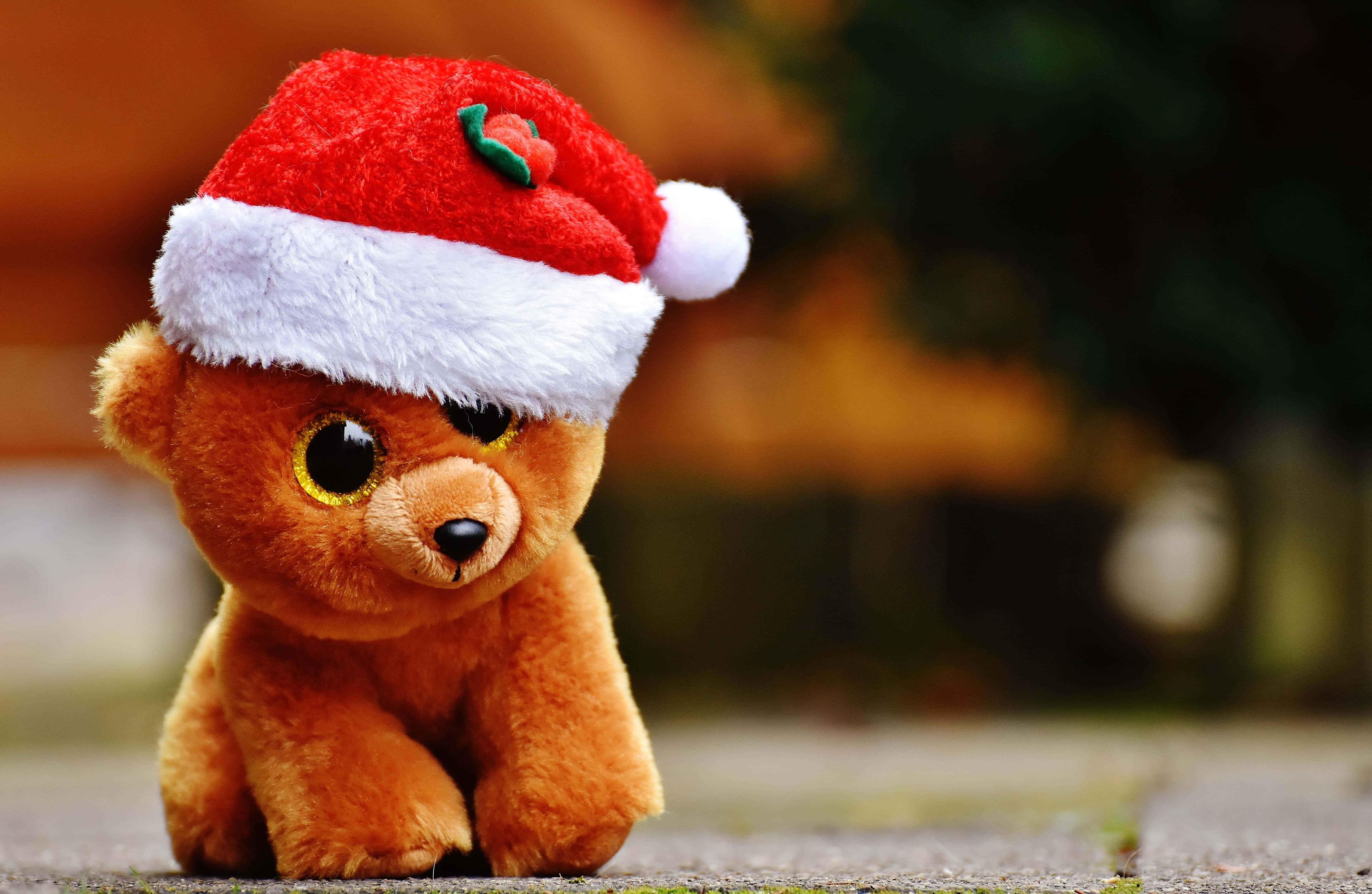 חגגו את עונת חג המולד עם אסתטיקה מסוגננת וחמודה! טפט