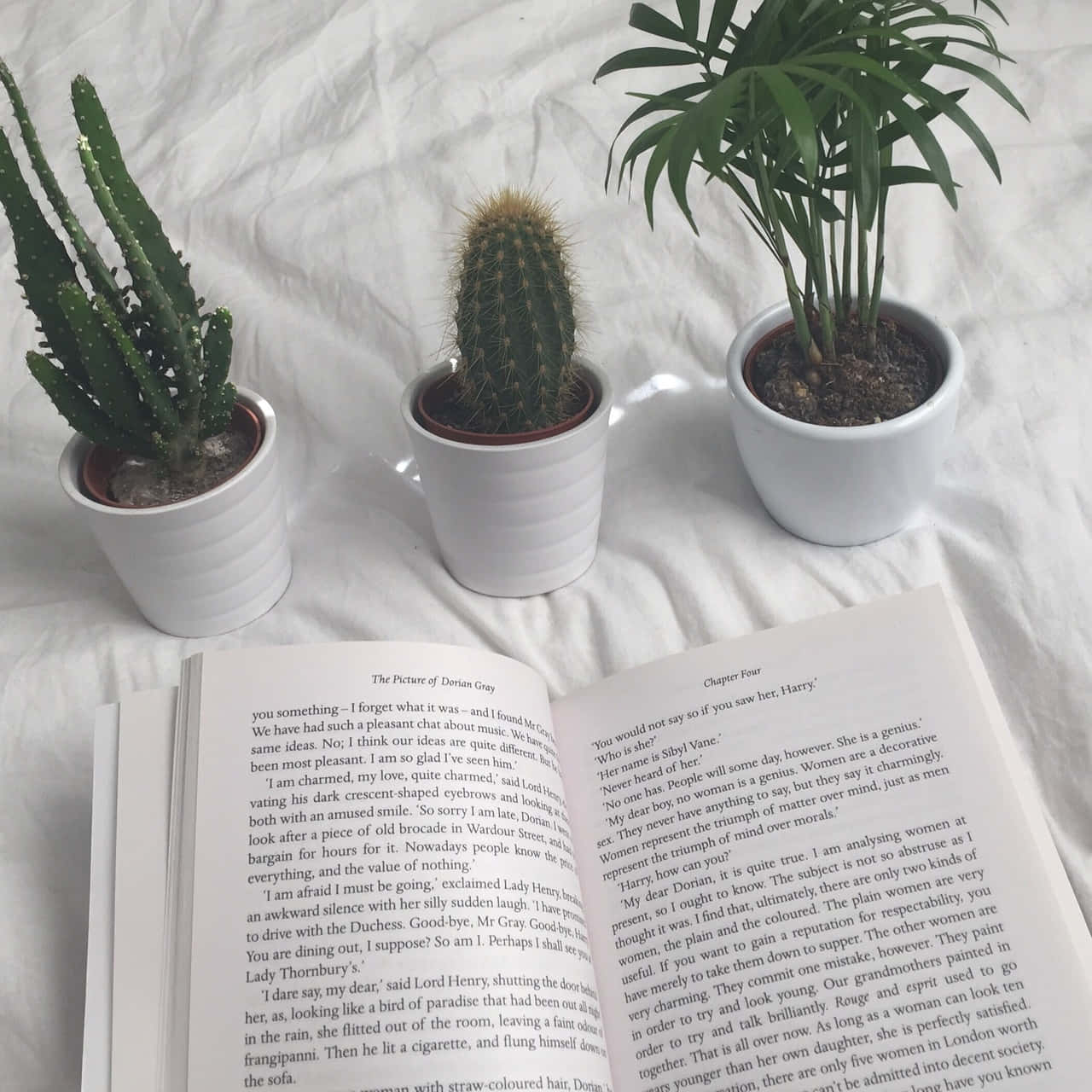 "חקור את עולם הספרים! 📖" טפט