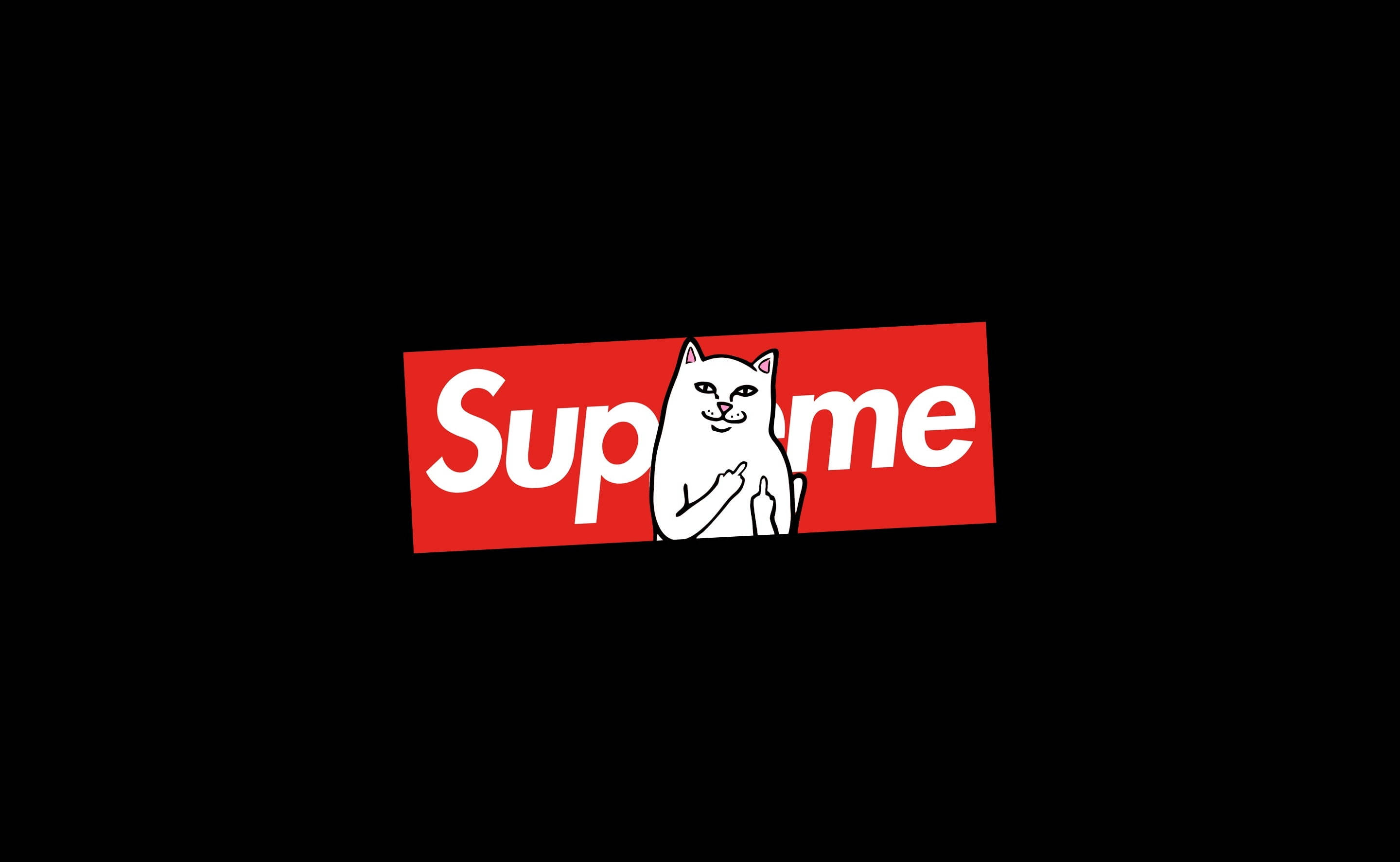 חתול יושב על מחשב נייד Supreme טפט