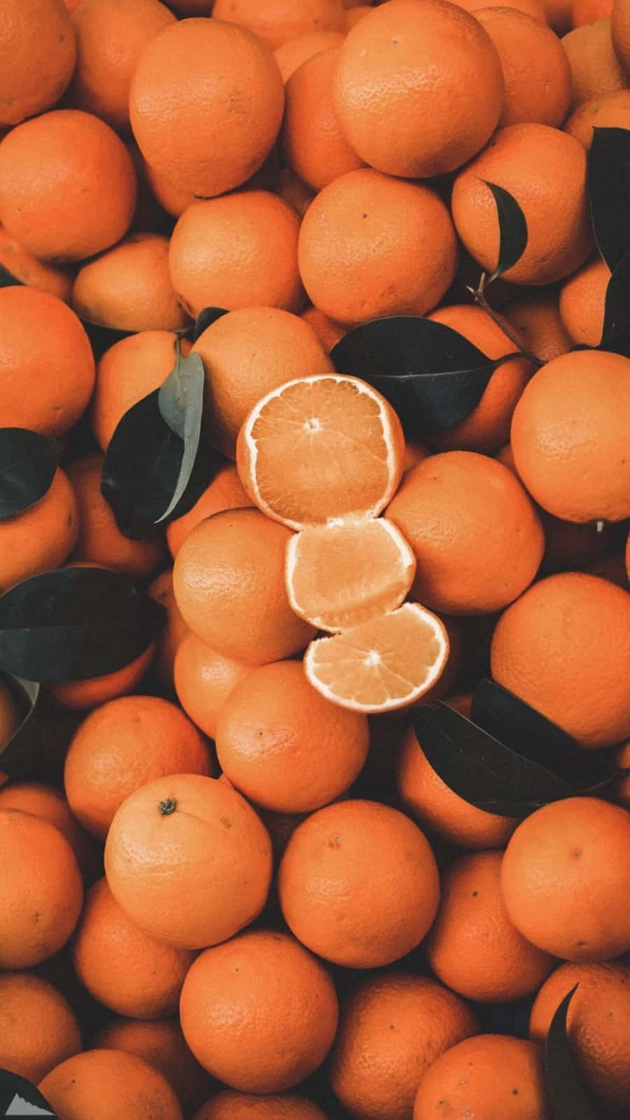 יופי טבעי מגיע בצבעים רבים, כולל כתום 🍊 טפט