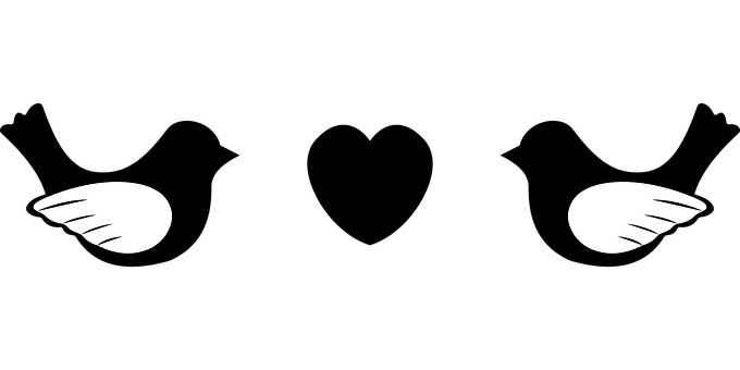 כנפי מלאך על רקע שחור טפט