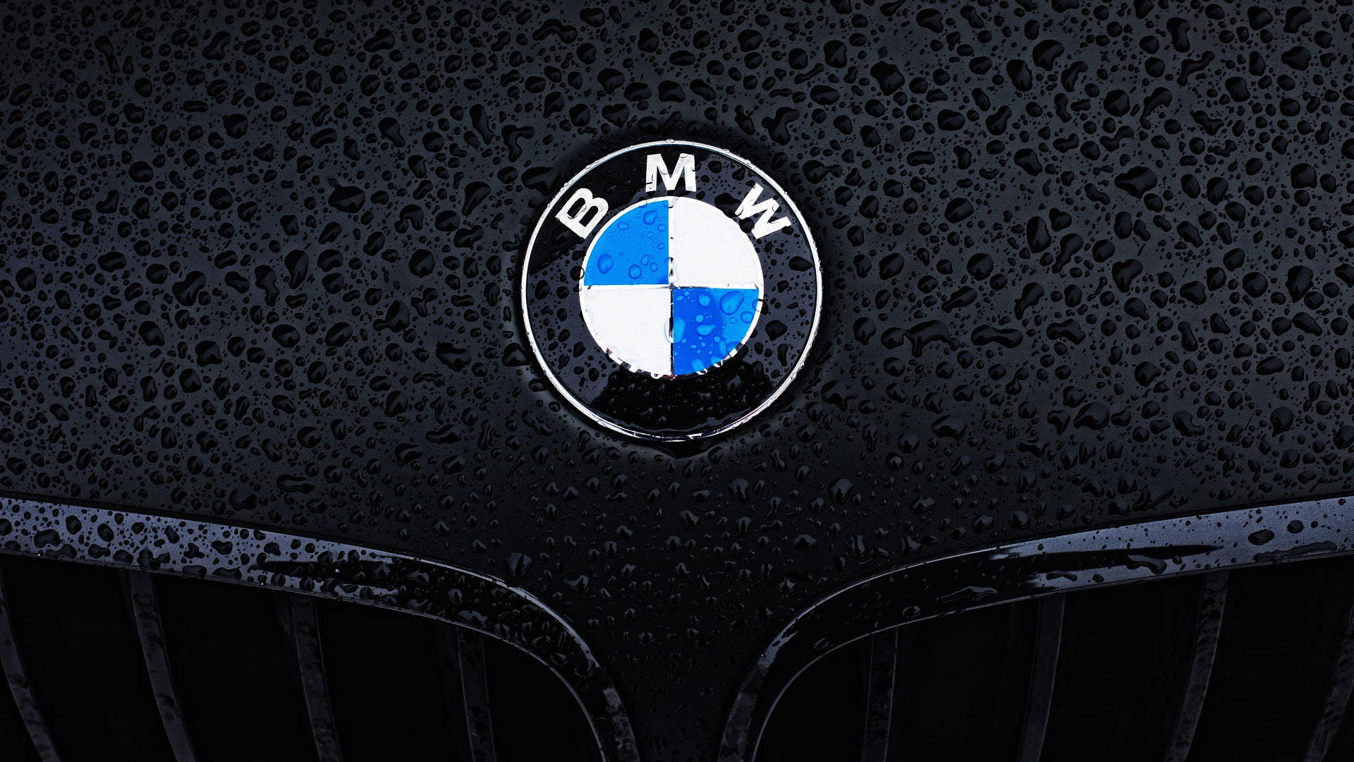 לוגו BMW מקרוב על מחשב נייד טפט