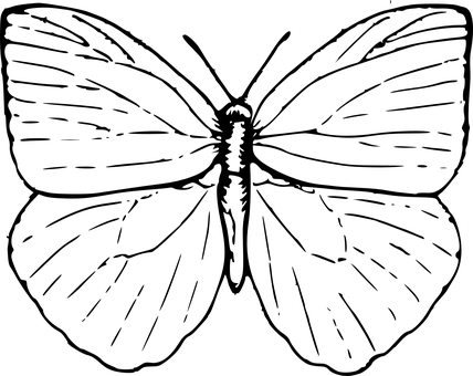 מונוכרום צללית פרפר טפט