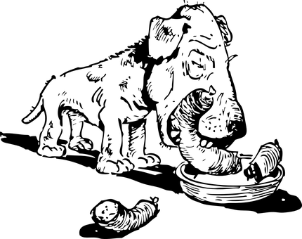 מסך שחור זמני טפט