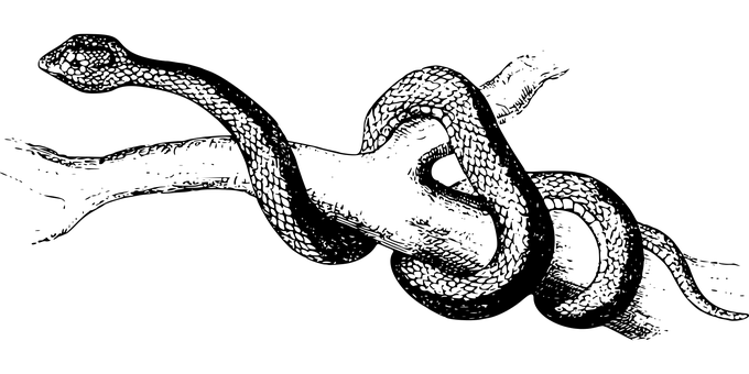 מסך שחור - מציין מיקום טפט