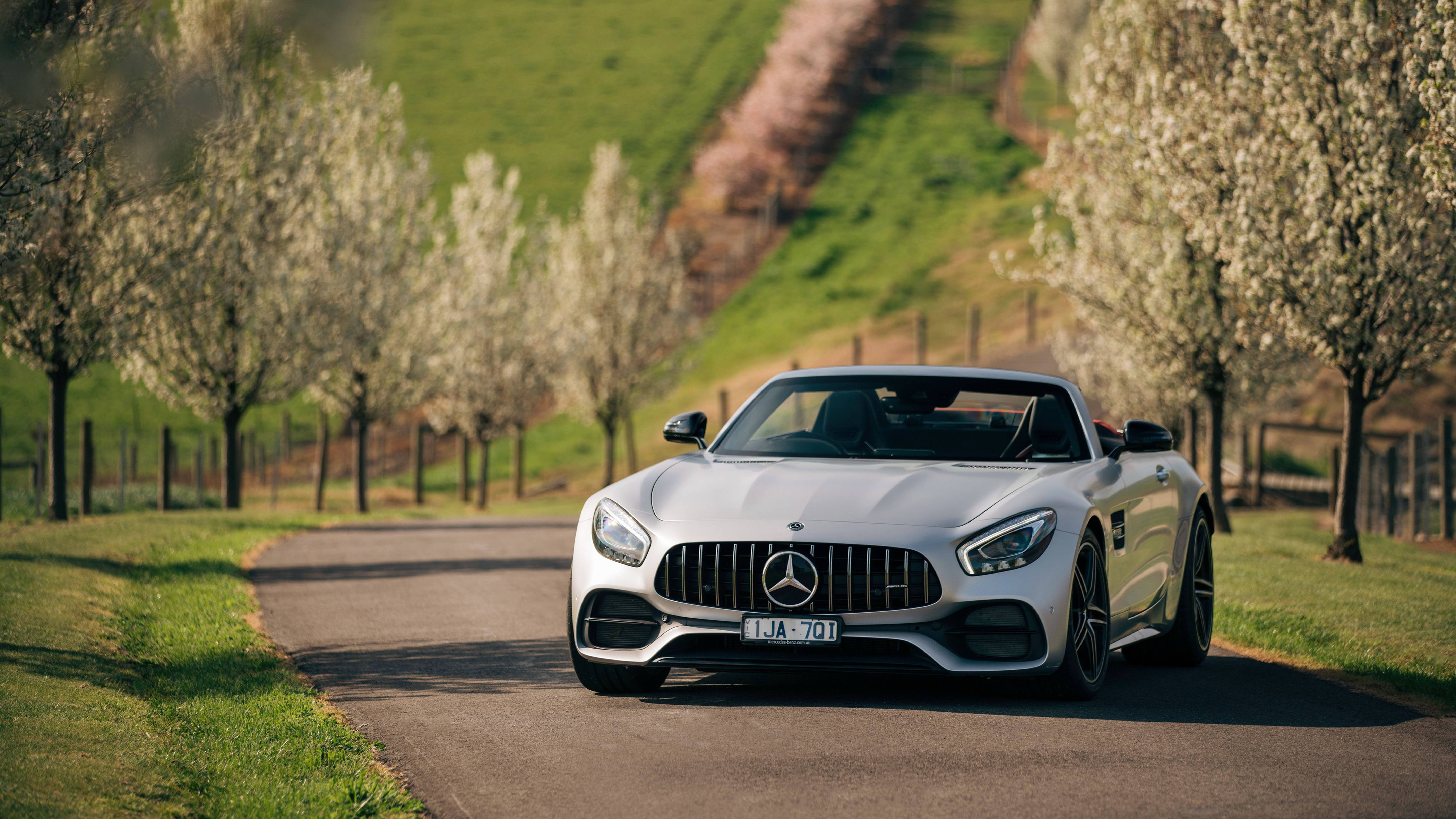 מרצדס AMG 4K ירוק עצים ודשא טפט