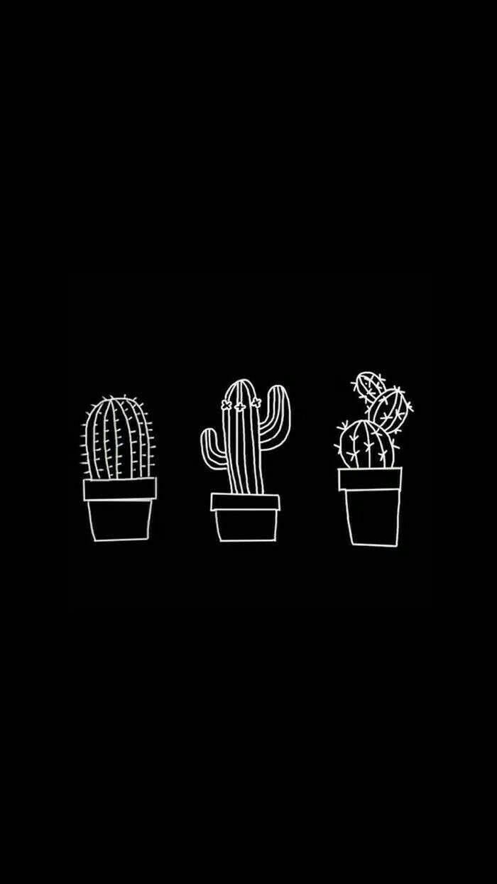 ציורי קקטוס חמודים בשחור-לבן טפט