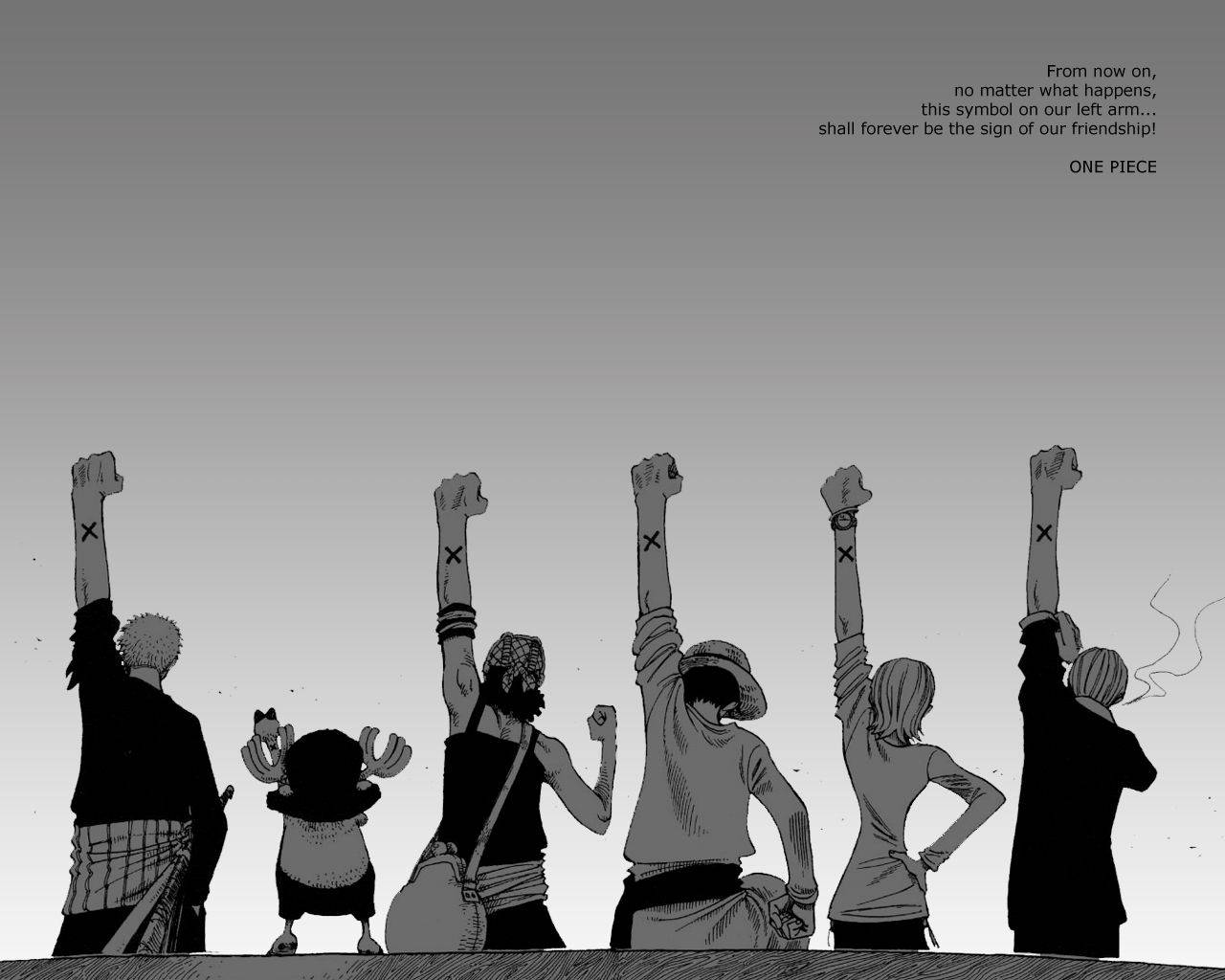 ציטוט חברות One Piece לשולחן העבודה טפט
