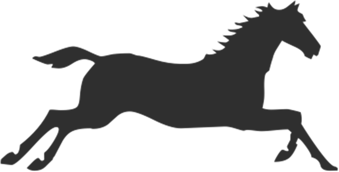 צללית סוס דוהר טפט