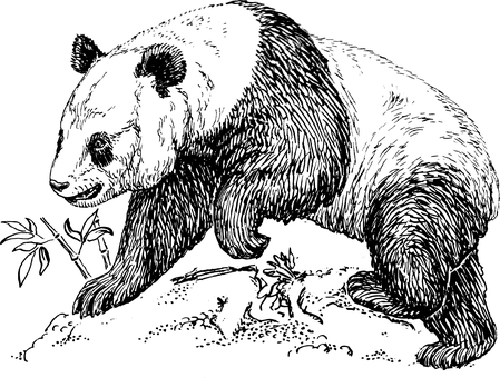 קנבס ריק כהה טפט