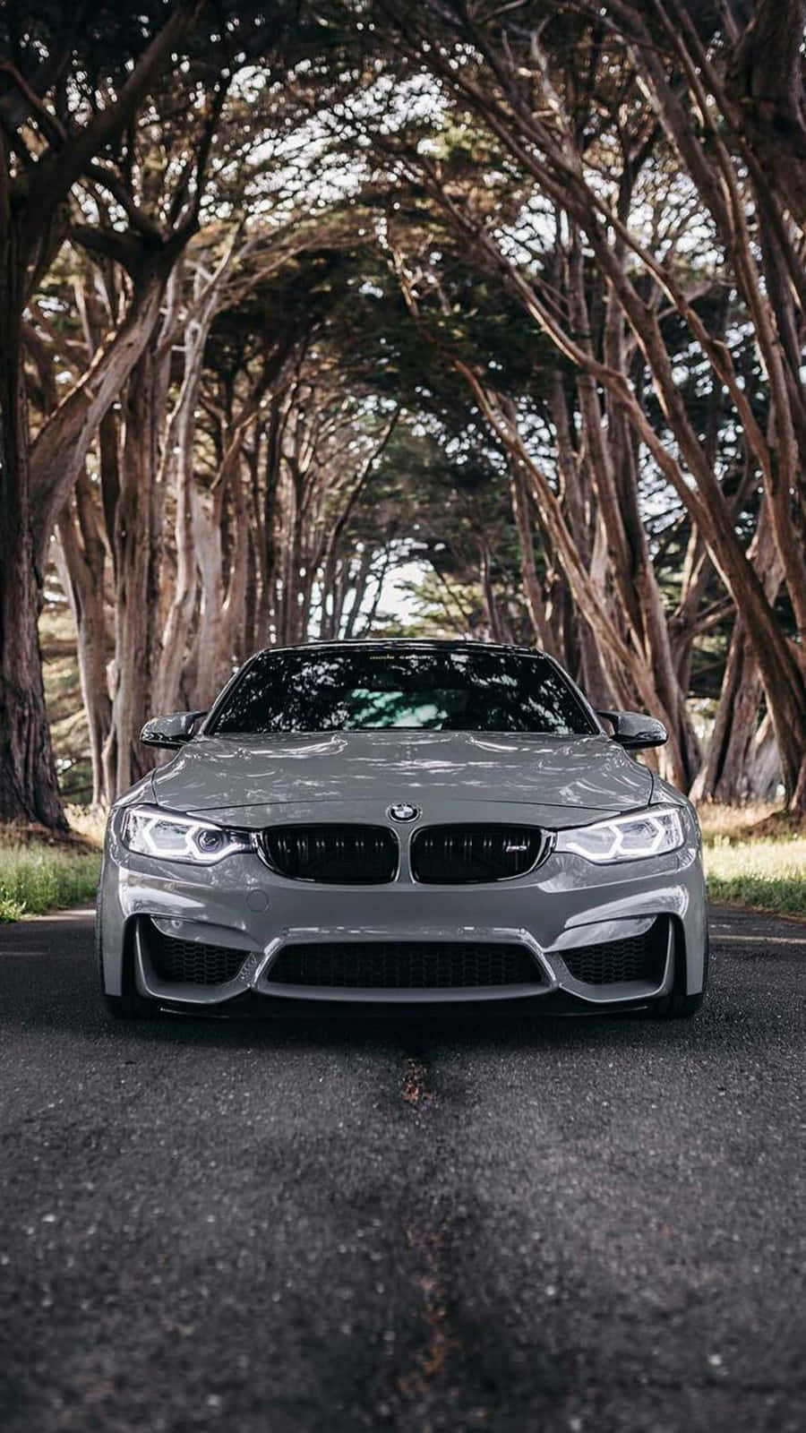 רקע Pixel 3 של BMW M4 בצבע סילברסטון מטאליק II טפט