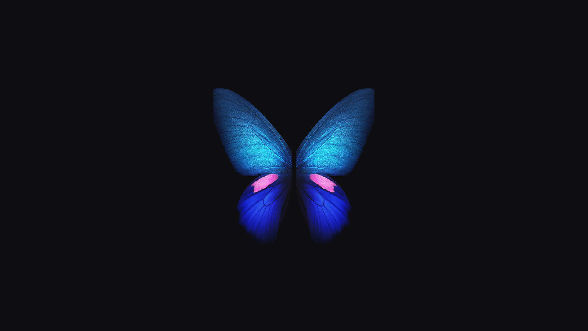 רקע OLED 4K — פרפר טפט