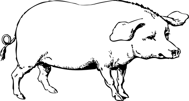 רקע שחור עם ריבוע שחור טפט