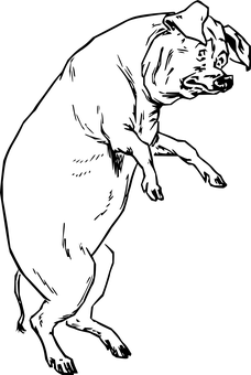 רקע שחור עם ריבוע שחור טפט