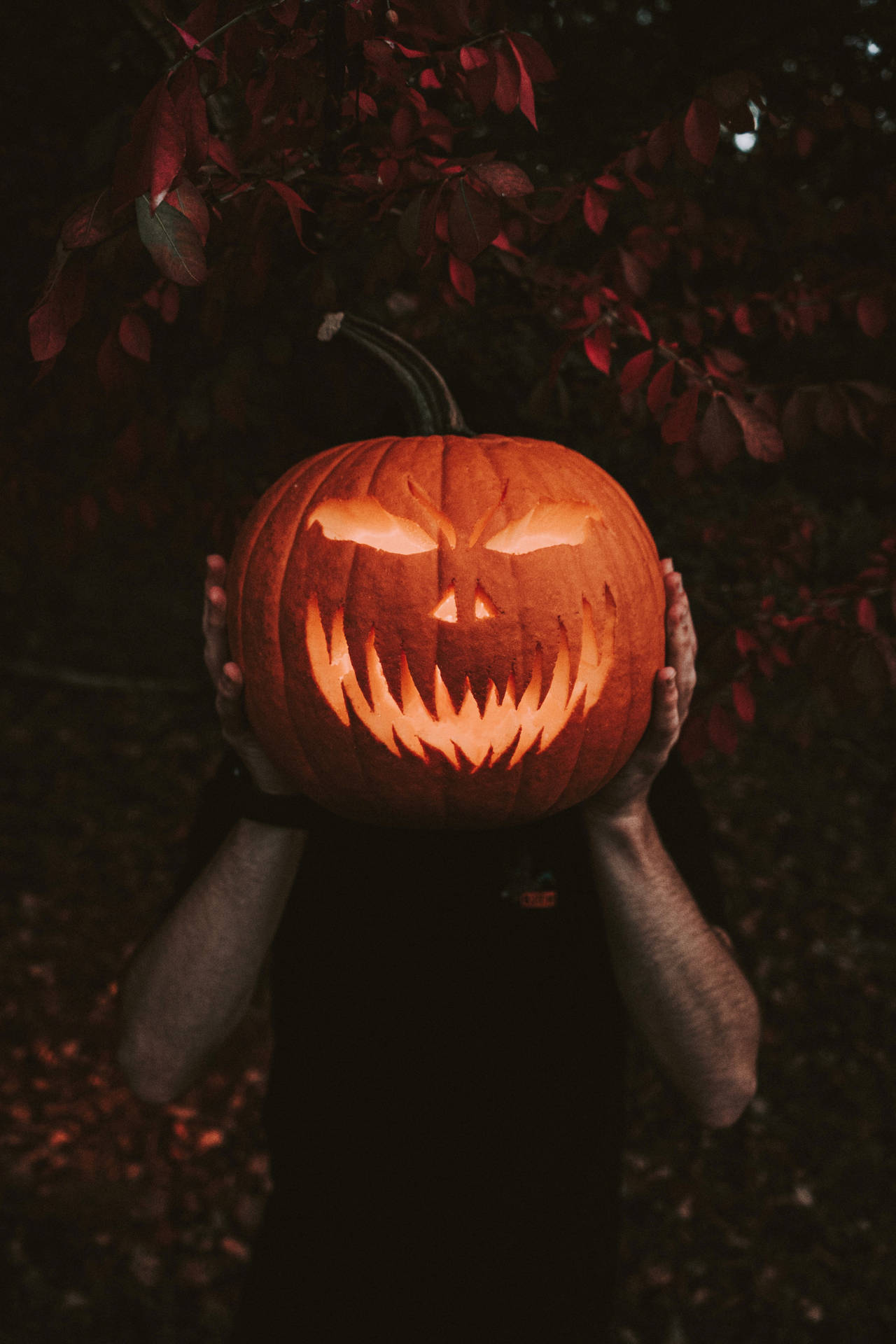 תמונת דלעת ליל כל הקדושים לטלפון נייד — נייד GIF טפט
