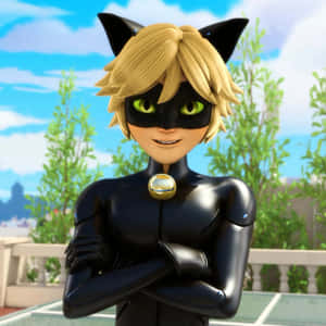 תמונות של Cat Noir — חתול נואר טפט