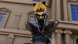 תמונות של Cat Noir — חתול נואר טפט