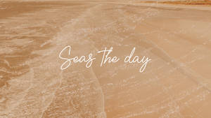 Seas The Day קרם אסתטי