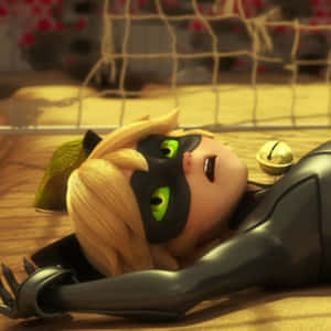 תמונות של Cat Noir — חתול נואר טפט