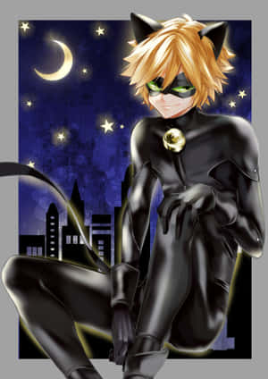 תמונות של Cat Noir — חתול נואר טפט
