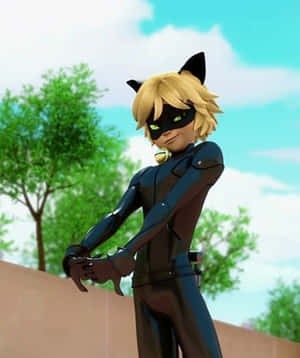 תמונות של Cat Noir — חתול נואר טפט