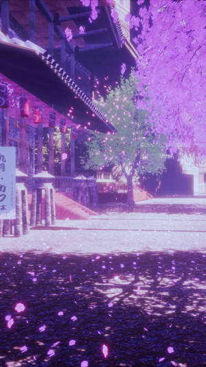 פרחי דובדבן אסתטיים בצבע סגול בהיר — סגול בהיר אסתטי טפט