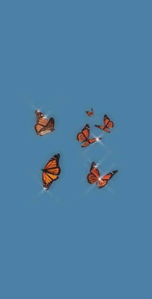 תמונות אייפון אסתטיות — אייפון אסתטי טפט