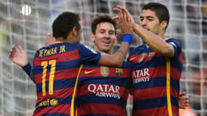 msn — מסי טפט